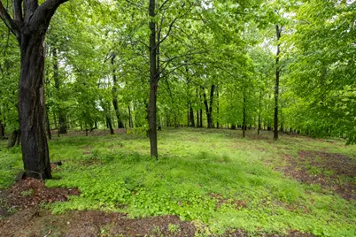 78 Ridgeview Drive #Lots 78-79-80, Loudonville, OH 44842 - Photo 2