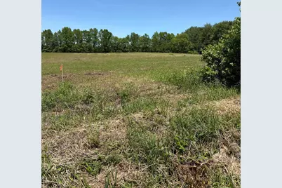 0 County Road 124 Tract #2, Cardington, OH 43315 - Photo 2