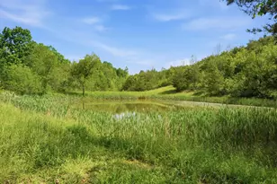 870 Rubrake Rd, Fleming, OH 45729 - Photo 42