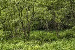11912 State Route 691, Nelsonville, OH 45764 - Photo 64