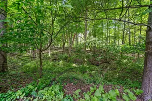 650 W Orange Rd, Delaware, OH 43015 - Photo 122