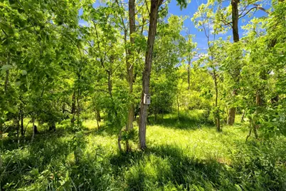 9309 Co Rd 46, Galion, OH 44833 - Photo 54