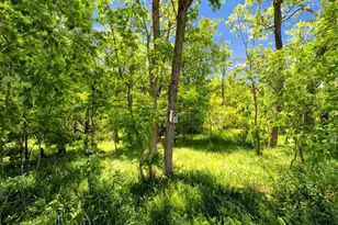 9309 Co Rd 46, Galion, OH 44833 - Photo 54