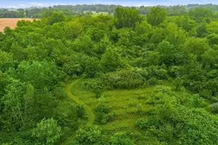 11687 Broadgauge Rd, South Vienna, OH 45369 - Photo 14