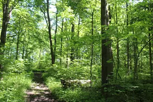 7560 Township Road 76 Rd, Bettsville, OH 44815 - Photo 50