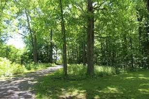 7560 Township Road 76 Rd, Bettsville, OH 44815 - Photo 36