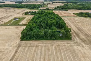 15762 Fish-Daum Rd, Richwood, OH 43344 - Photo 10