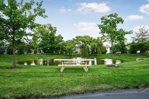 8558 Gosling Wy, Powell, OH 43065 - Photo 66