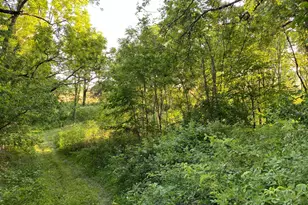 6494 Martinsburg Rd, Mount Vernon, OH 43050 - Photo 82