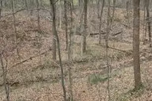 7929 State Route 664 N, Logan, OH 43138 - Photo 70