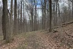 7929 State Route 664 N, Logan, OH 43138 - Photo 72