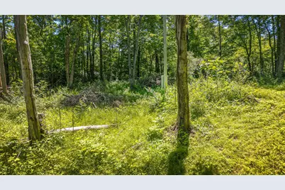 19703 Township Road 76B, Warsaw, OH 43844 - Photo 4