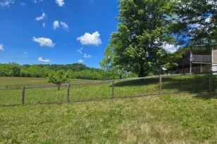 7455 Old Grade Rd, Chesterhill, OH 43728 - Photo 12
