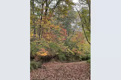 7455 Old Grade Road, Chesterhill, OH 43728 - Photo 18