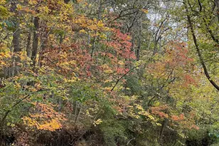 7455 Old Grade Rd, Chesterhill, OH 43728 - Photo 18