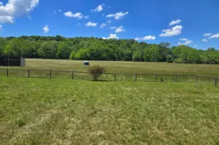 7455 Old Grade Rd, Chesterhill, OH 43728 - Photo 6