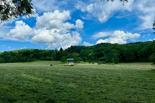 7455 Old Grade Rd, Chesterhill, OH 43728 - Photo 4
