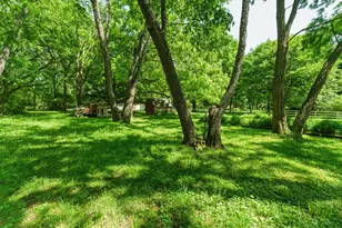 11775 Woodtown Rd, Galena, OH 43021 - Photo 16
