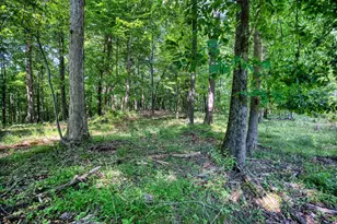0 Rock Haven Rd, Newark, OH 43055 - Photo 8