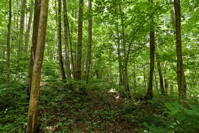 23769 State Route 327, Laurelville, OH 43135 - Photo 22