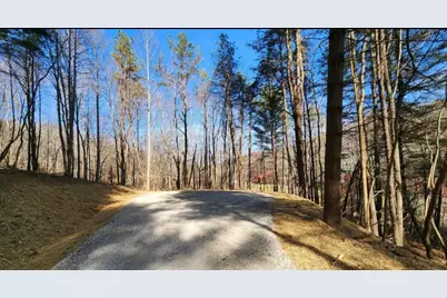 0 Blue Creek Road, South Bloomingville, OH 43152 - Photo 16