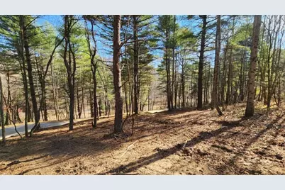0 Blue Creek Road, South Bloomingville, OH 43152 - Photo 20