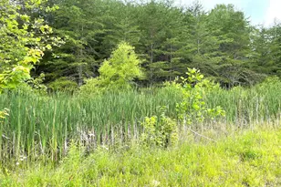 15351 Berry Rd, Logan, OH 43138 - Photo 40
