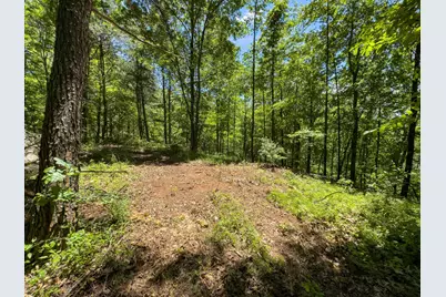0 Long Hollow Road, Pomeroy, OH 45769 - Photo 14