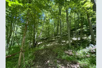 0 Long Hollow Road, Pomeroy, OH 45769 - Photo 4