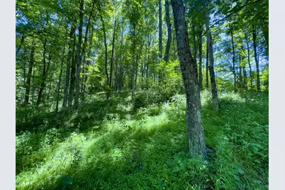 0 Long Hollow Road, Pomeroy, OH 45769 - Photo 12
