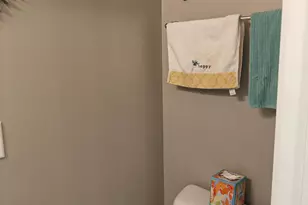 111 Firestone Dr, Delaware, OH 43015 - Photo 22