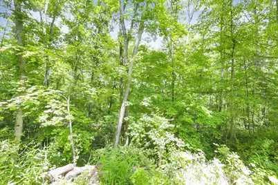 19354 Deerberry Lane, Rockbridge, OH 43149 - Photo 38