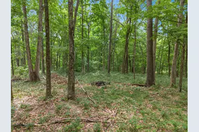 24630 Turner Road, South Bloomingville, OH 43152 - Photo 44