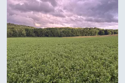 0 Township Rd 51, Mount Perry, OH 43760 - Photo 2