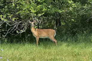 21990 Shirk Rd, Marysville, OH 43040 - Photo 38