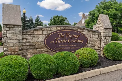 5180 Vinings Grove, Dublin, OH 43016 - Photo 50