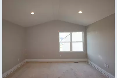 345 Royal Fern Lane, Lewis Center, OH 43035 - Photo 10