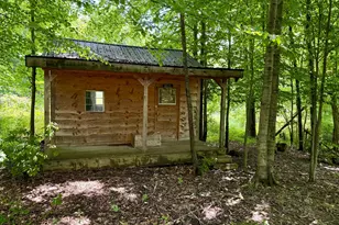 7828 Township Road 83, Bellville, OH 44813 - Photo 28