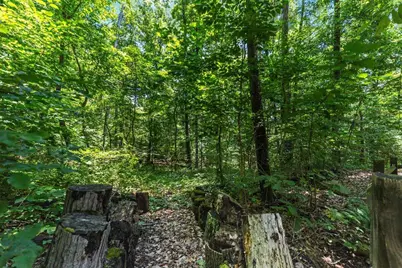 18862 Indigo Lane, Rockbridge, OH 43149 - Photo 16