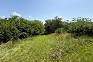 5399 Rosedale-Milford Center Rd, London, OH 43140 - Photo 24