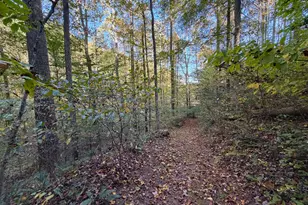 19479 Bogg Rd, Laurelville, OH 43135 - Photo 64