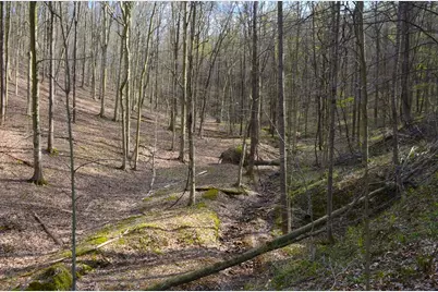 19479 Bogg Road, Laurelville, OH 43135 - Photo 10