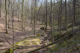 19479 Bogg Rd, Laurelville, OH 43135 - Photo 10