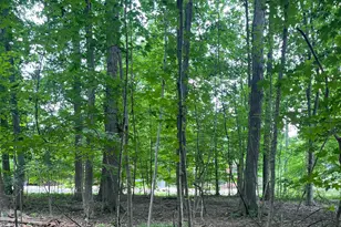 7326 State Route 19, Mount Gilead, OH 43338 - Photo 1