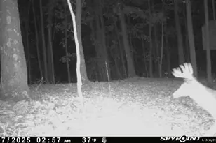 33509 Clipner Rd, Londonderry, OH 45647 - Photo 32