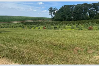 26220 Mill Road, Utica, OH 43080 - Photo 30