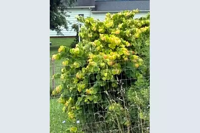 [Address not provided], Amanda, OH 43102 - Photo 4