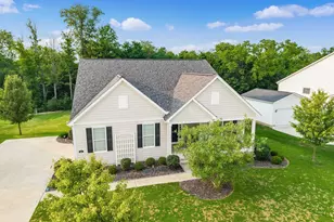 368 Ben Curtis Dr, Ostrander, OH 43061 - Photo 34