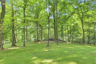 8970 Loches Rd, Saint Louisville, OH 43071 - Photo 78