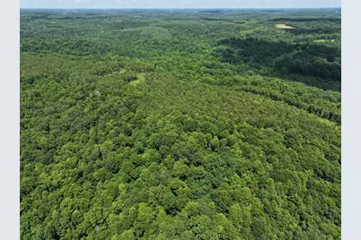 0 Tract D E. Reinersville Road, McConnelsville, OH 43756 - Photo 6